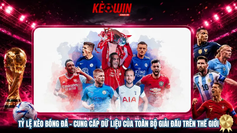 Tỷ lệ kèo bóng đá – Cung cấp dữ liệu của toàn bộ giải đấu trên thế giới