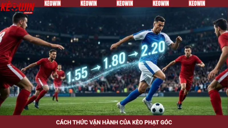 Cách thức vận hành của kèo phạt góc